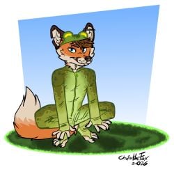 Chris The Fox (Bartek22) Rule 34 Image