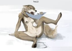 Anthro Rule 34 Image