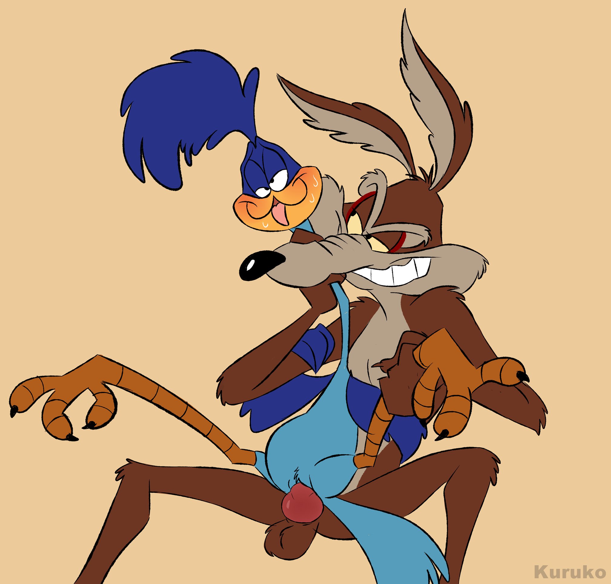 Road Runner (Looney Tunes) Rule 34 Image