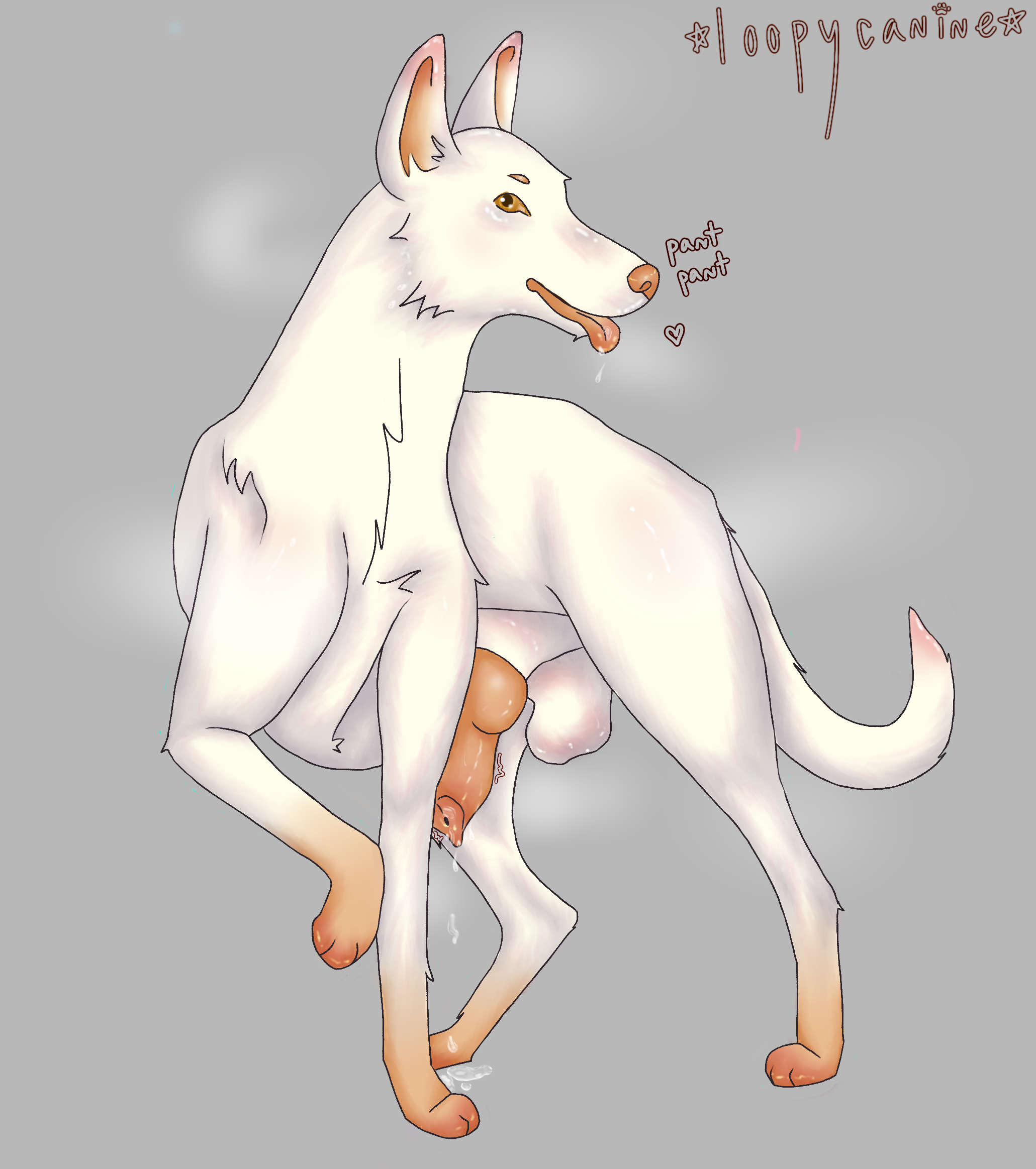 Animal Genitalia Rule 34 Image