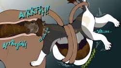 Anthro Rule 34 Image