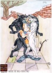 2009 Rule 34 Image