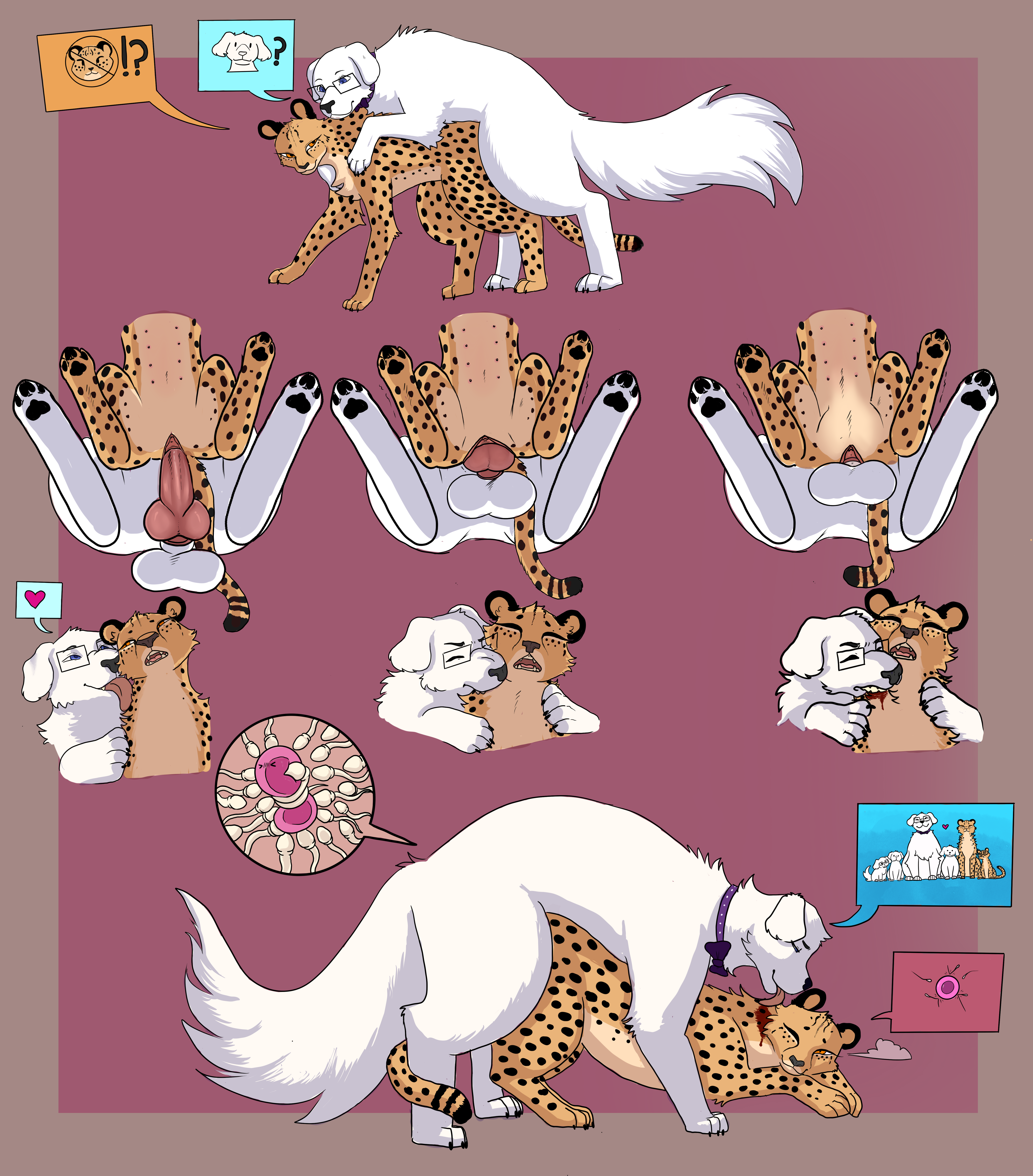 Absurd Res Rule 34 Image