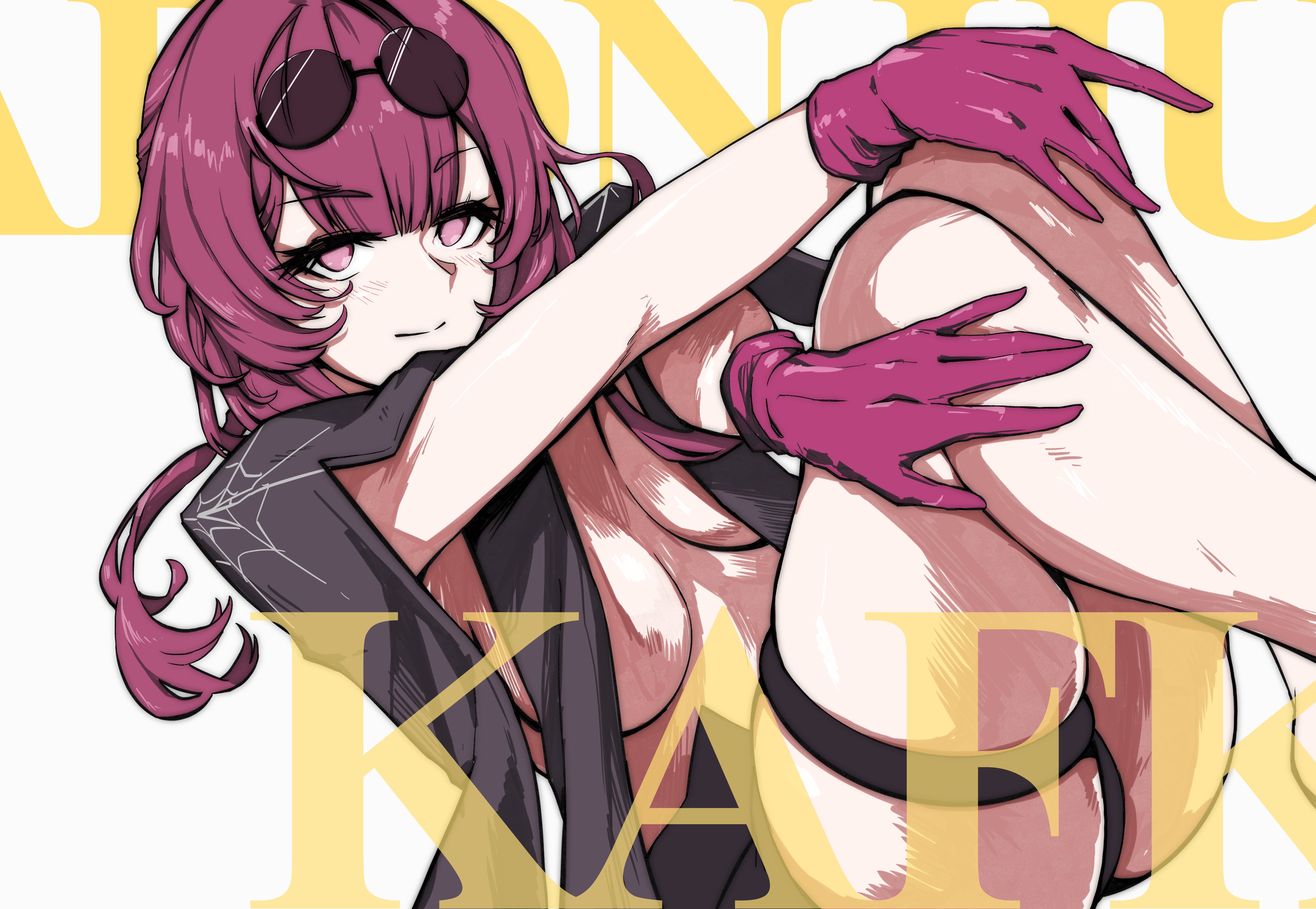 Honkai (Series) Rule 34 Image