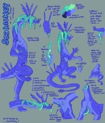 Seahickey (Character) Rule 34 Image