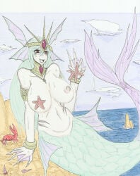 Starfish (Accessory) Rule 34 Image
