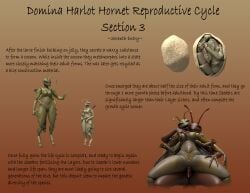 Antennae (Anatomy) Rule 34 Image