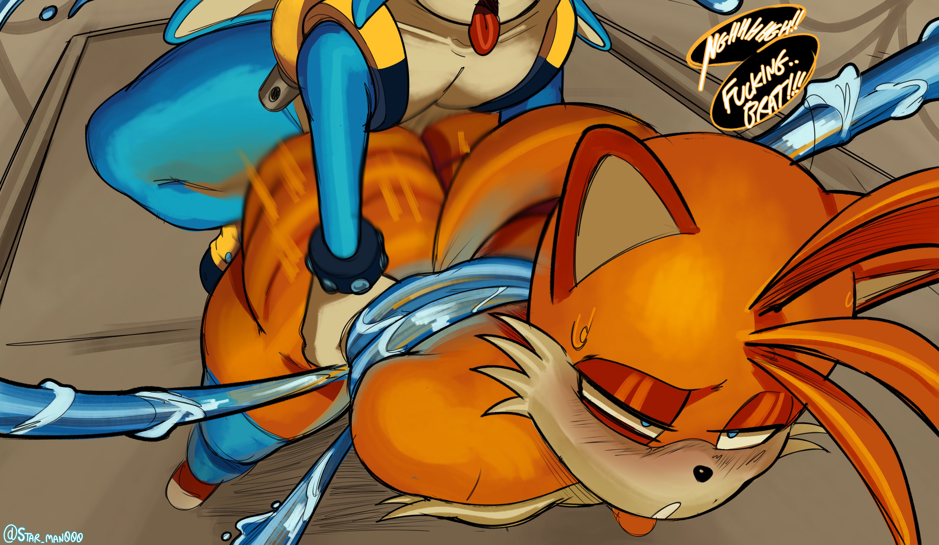 Kitsunami The Fennec (Sonic (Series)) Rule 34 Image