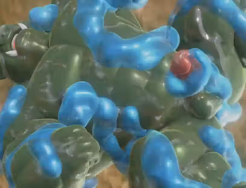 3d Rule 34 Video