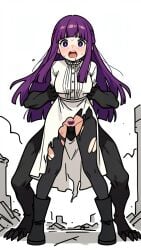 Fern (Sousou No Frieren) Rule 34 Image