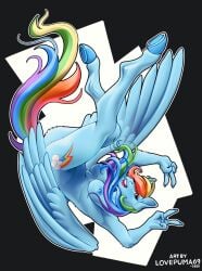 Rainbow Dash (Mlp) Rule 34 Image