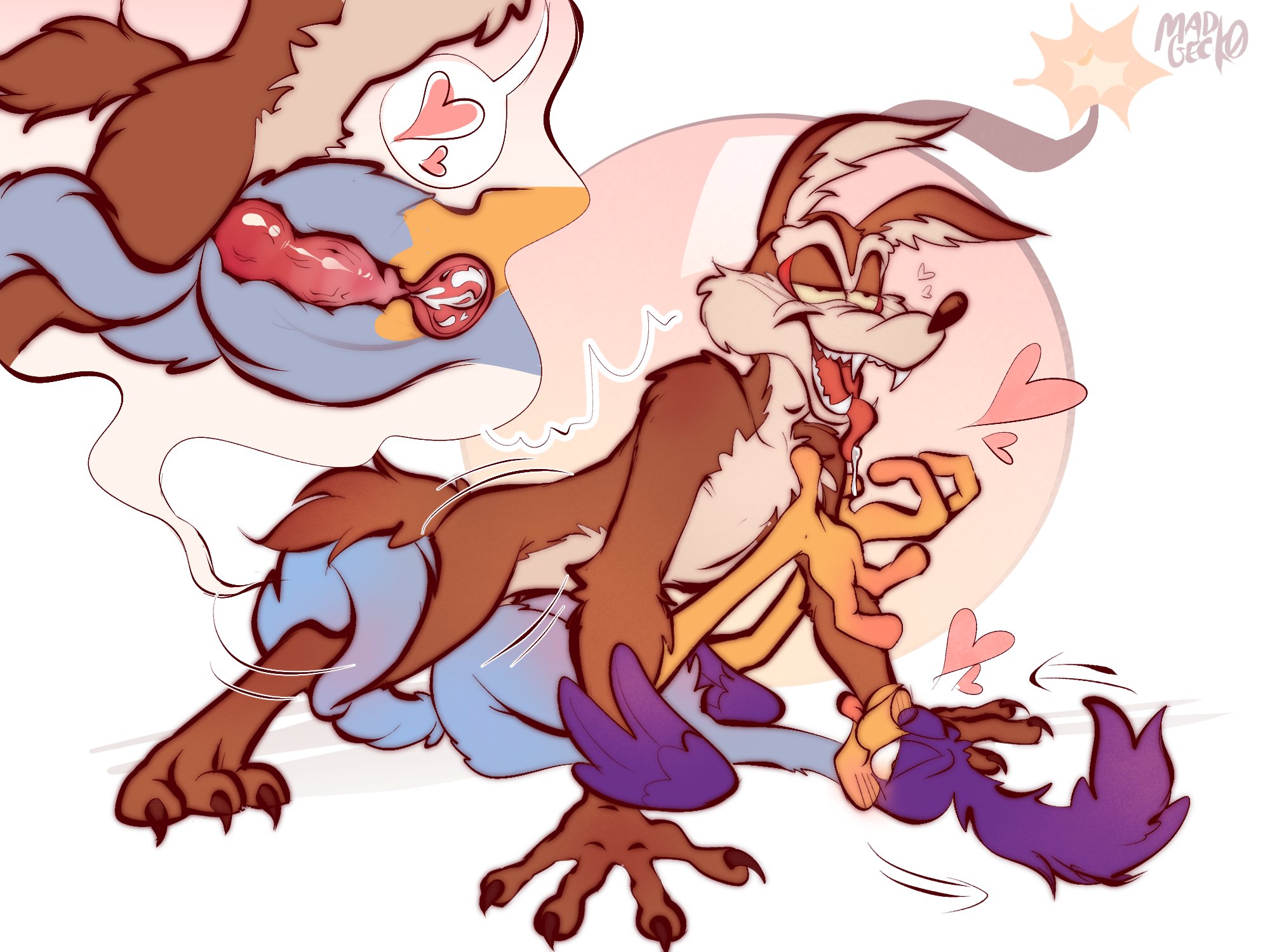 Road Runner (Looney Tunes) Rule 34 Image