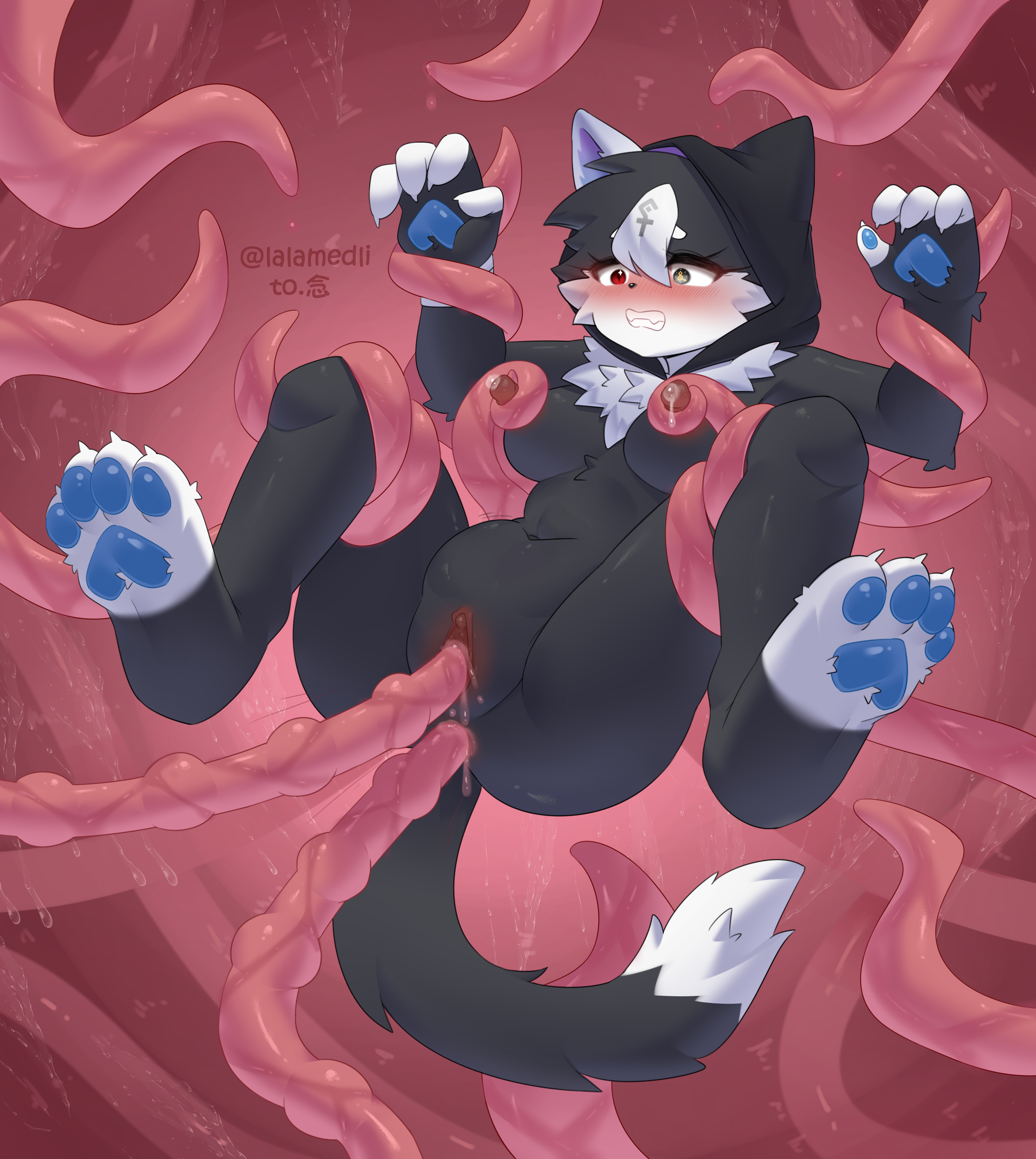 Absurd Res Rule 34 Image