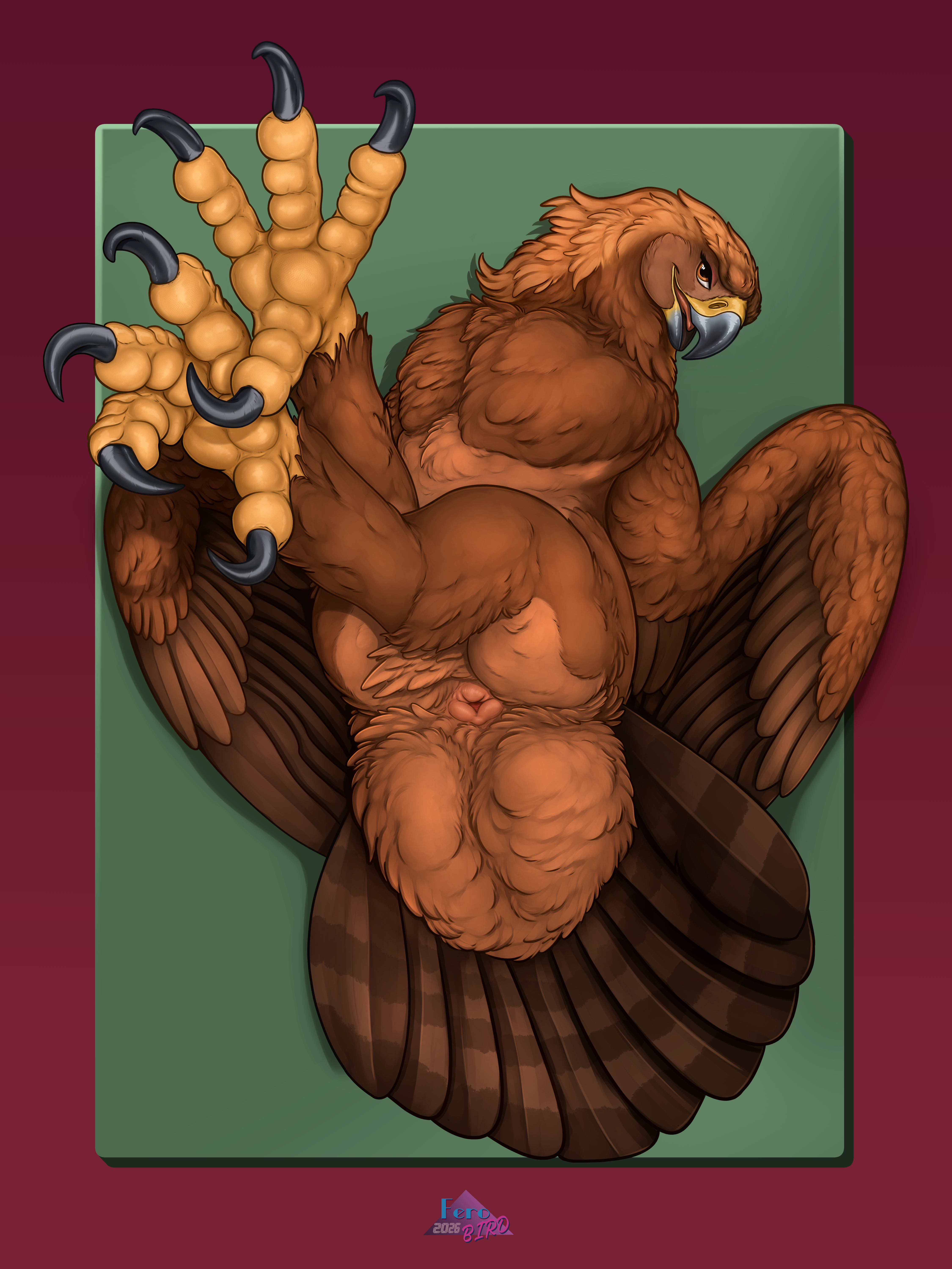 Sawyer (Ferobird) Rule 34 Image