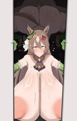 Satono Diamond (Umamusume) Rule 34 Image