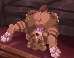 Boof (Brotherboofer) Rule 34 Image