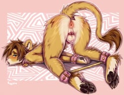 Binder (Restraint) Rule 34 Image