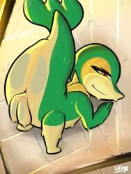Pokemon (Species) Rule 34 Image