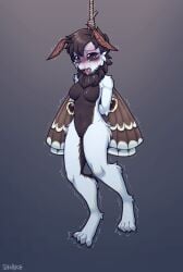 Antennae (Anatomy) Rule 34 Image