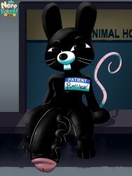 Animal Hospital (Roblox) Rule 34 Image
