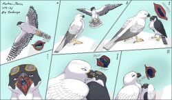 Corvus (Genus) Rule 34 Image
