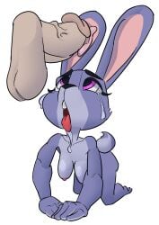 Balls Rule 34 Image