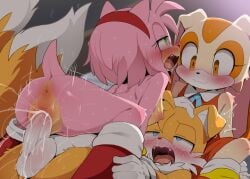 Sonic The Hedgehog (Series) Rule 34 Image