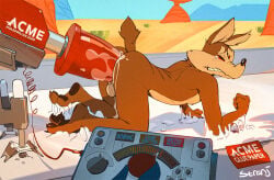 Road Runner (Looney Tunes) Rule 34 Image