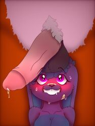 2026 Rule 34 Image
