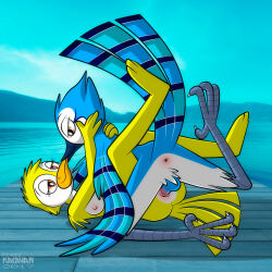 Jay (Bird) Rule 34 Image