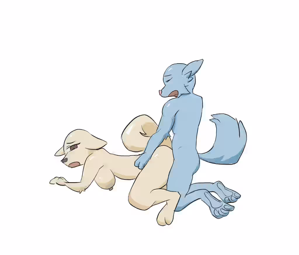 Animal Genitalia Rule 34 Image