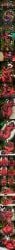 Post 21180100536