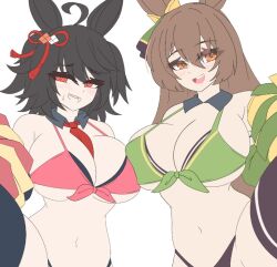 Kitasan Black (Umamusume) Rule 34 Image