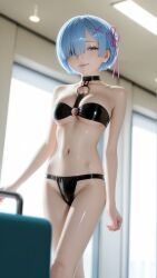 Emilia (Re:Zero) Rule 34 Image