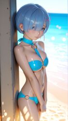 Emilia (Re:Zero) Rule 34 Image