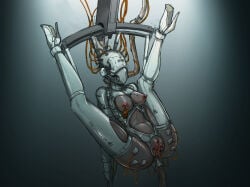 Anal Insertion Rule 34 Image