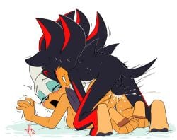 Sonic (Series) Rule 34 Image