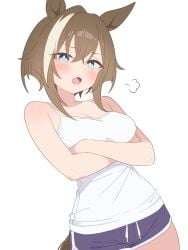 Cheval Grand (Umamusume) Rule 34 Image