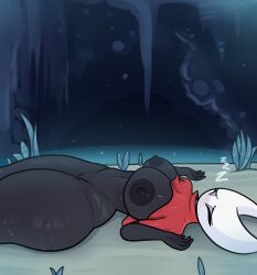Hollow Knight (Franchise) Rule 34 Image