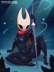 Hollow Knight (Franchise) Rule 34 Image