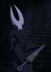 Hollow Knight (Franchise) Rule 34 Image