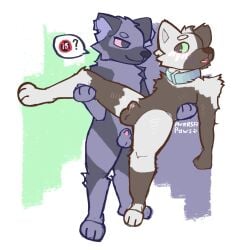 Aversa (Aversapaws) Rule 34 Image
