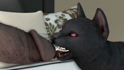 3d (Artwork) Rule 34 Image
