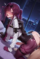 Honkai (Series) Rule 34 Image