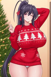 Akeno Himejima Rule 34 Image