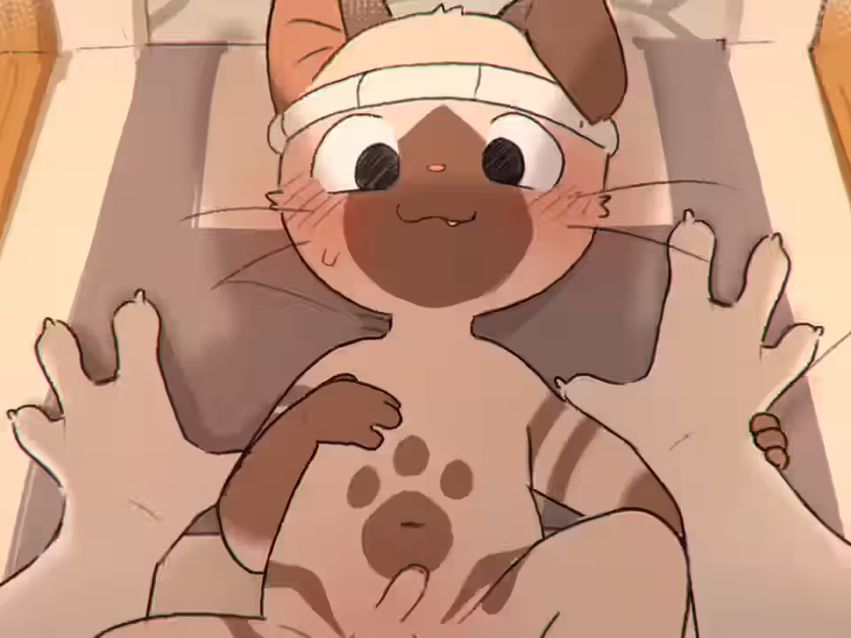 After Anal Rule 34 Video
