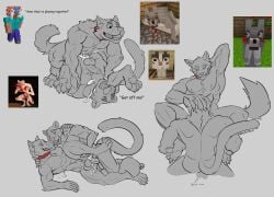 Cat (Minecraft) Rule 34 Image