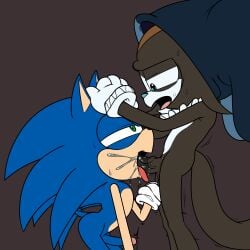 Sonic (Series) Rule 34 Image