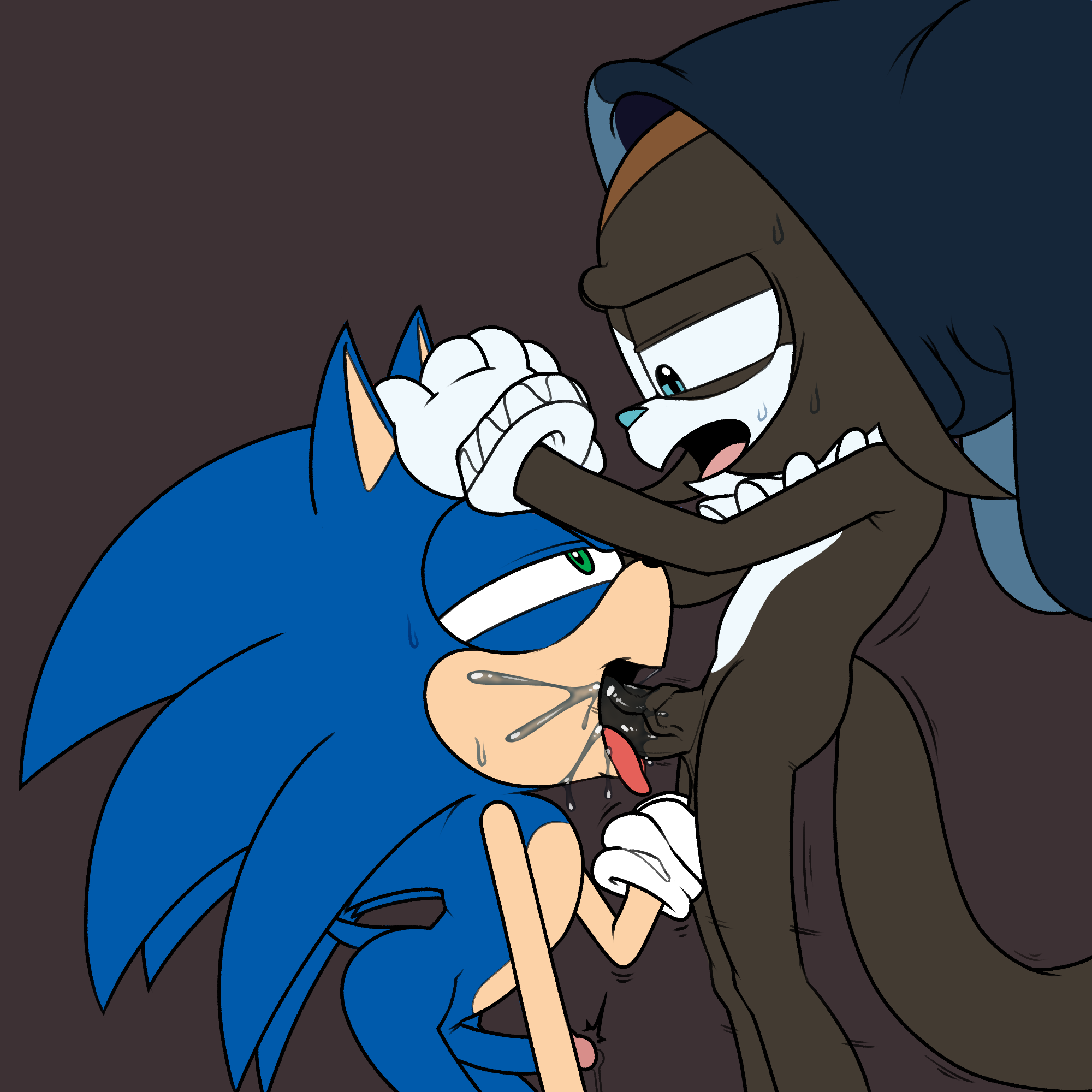 Sonic (Series) Rule 34 Image