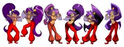 Shantae (Character) Rule 34 Image